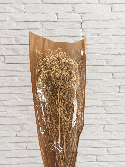 Gypsophila stabilizzata beige
